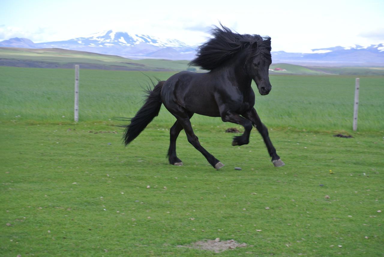 ハヴォルスヴォルール Hekla Adventuresヴィラ エクステリア 写真